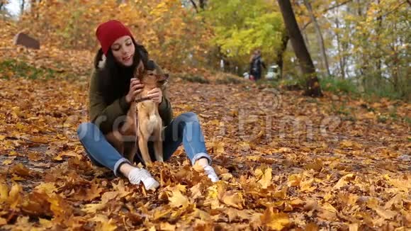 秋天公园里美丽的女孩抚摸可爱的狗视频的预览图