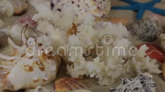 珊瑚贝壳和海星在沙滩上的旋转美丽的海景视频的预览图