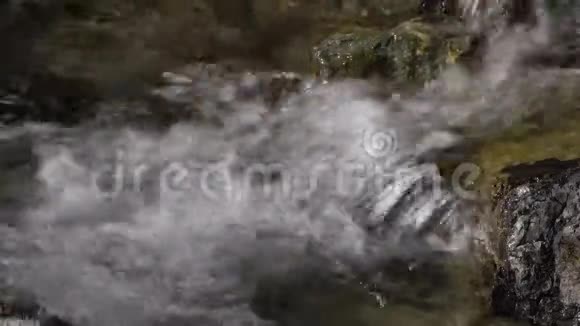 阿尔卑斯河清澈清澈的天然溪水视频的预览图
