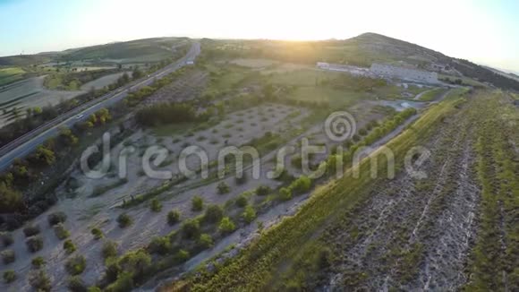塞浦路斯为收获季节准备的橄榄树种植和石油生产视频的预览图