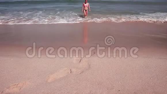 穿着比基尼的无忧无虑的女性来到海边享受日光浴和海滩度假视频的预览图