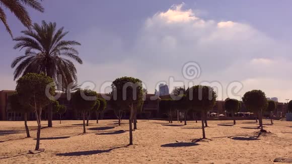 海滨空沙滩酒店圆形装饰树木视频的预览图