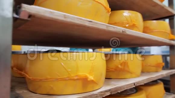 工厂仓库货架上的包装奶酪轮奶酪生产视频的预览图