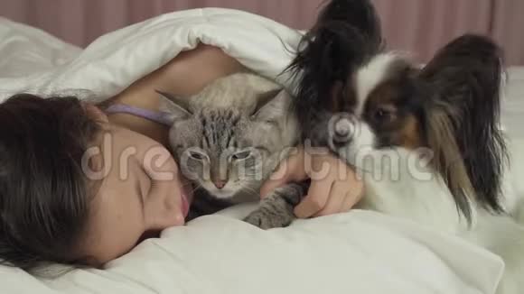 快乐少女与狗狗Papillon和泰猫在床上交流视频视频的预览图