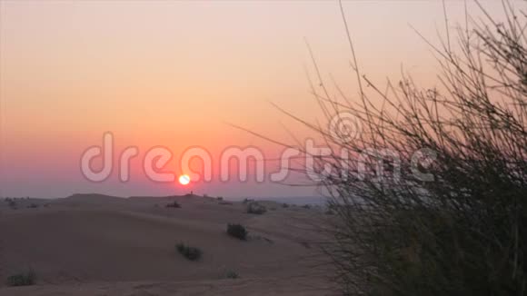野生动物背景下沙漠天空中的傍晚日落阳光明媚的日落沙漠视频的预览图