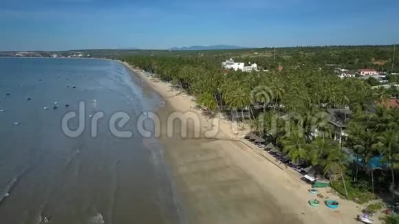 沿着棕榈树之间的酒店宽阔的大洋海滩视频的预览图