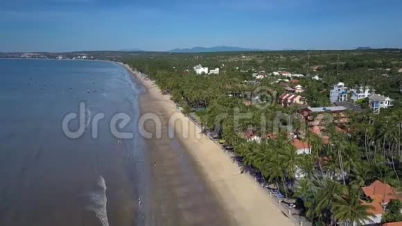 位于海滨的棕榈树环绕的酒店视频的预览图