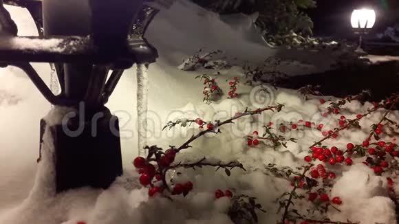 在降雪下圣诞树上的树枝和灯笼上的红色浆果视频的预览图