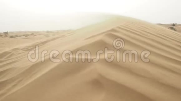 风中的沙丘沙的波浪状纹理视频的预览图