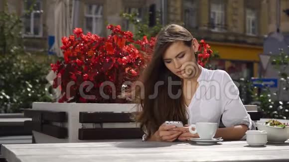 布鲁内特女士在红花前坐在餐厅时在手机上写了一些东西视频的预览图