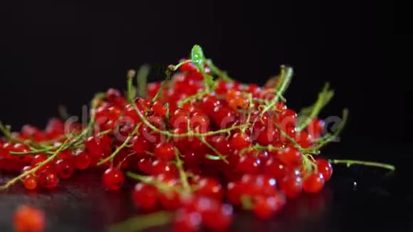 红醋栗浆果在黑色背景下旋转视频的预览图