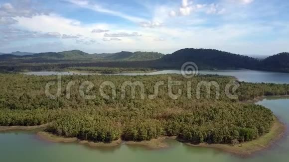 沙湖岛空中景观的热带树木视频的预览图