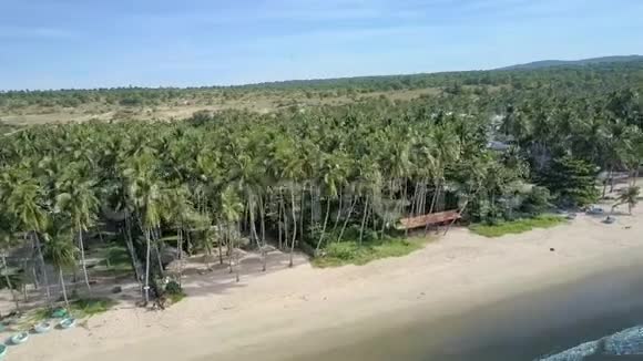 在棕榈森林上空飞行沙滩酒店视频的预览图