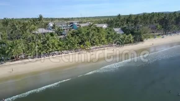 海滩上景的棕榈树建筑和船视频的预览图