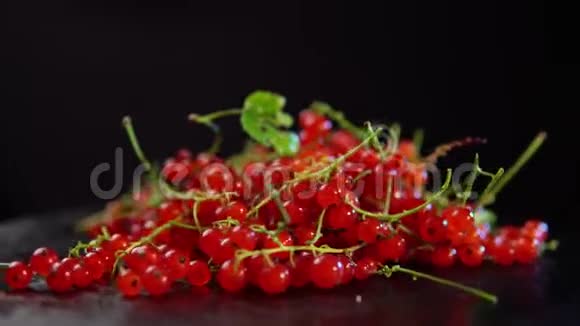 红醋栗浆果在黑色背景下旋转视频的预览图
