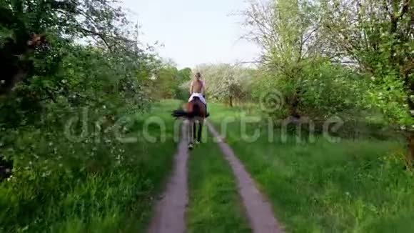 春天户外女骑手骑师骑在纯种的美丽的棕色种马上穿过老花苹果视频的预览图
