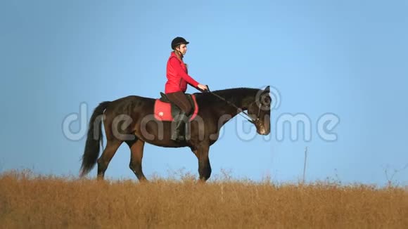 骑着马的女孩抚摸着站在田野里的马慢动作侧视图视频的预览图