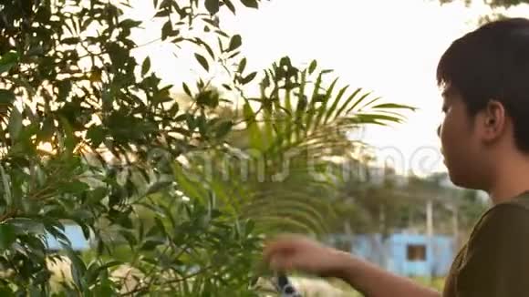 泰国男孩用剪刀剪绿色树枝在花园里孩子在花园里活动视频的预览图