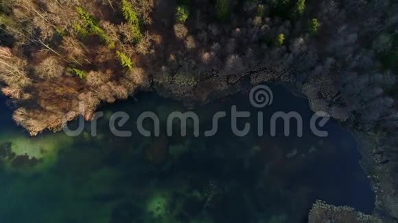 春天清澈的湖水的美妙的无人机镜头视频的预览图
