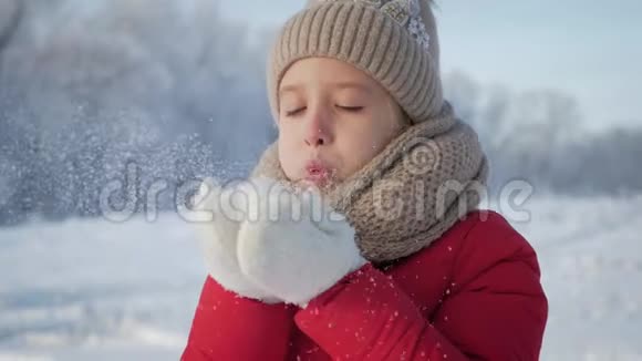 快乐的年轻女孩玩得开心在美丽的冬日享受新鲜的雪戴着温暖手套的女孩吹雪户外活动视频的预览图