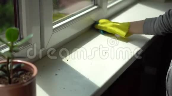 商店女清洁窗台上的灰尘视频的预览图