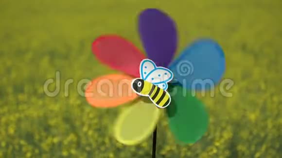 油菜田和蜜蜂图片风车玩具视频的预览图