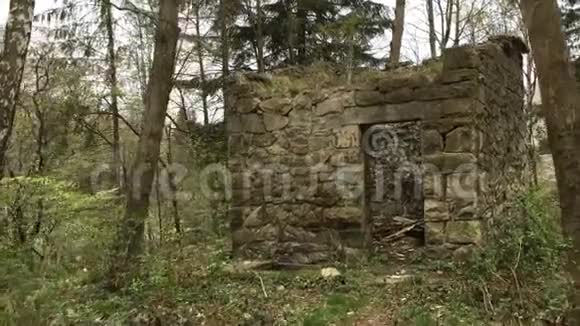古老的神秘的在绿色森林中被毁的石头建筑视频的预览图