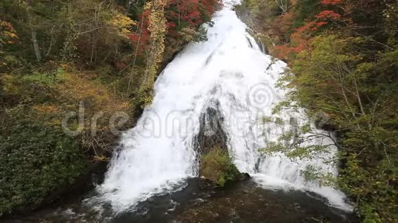 日本Nikko秋季的Yudaki瀑布视频的预览图