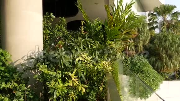 绿色环保理念下的商场设计露台上的露天花园未来生态视频的预览图