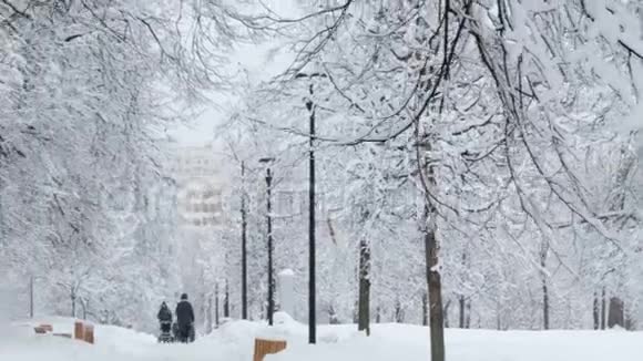 冬天美丽的白雪覆盖的城市公园视频的预览图