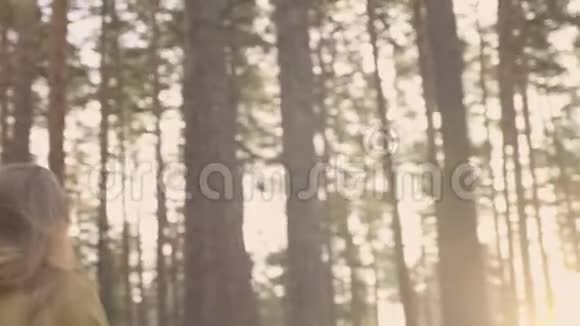 散步的女孩在阳光明媚的森林里慢动作视频的预览图