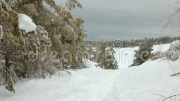 浪漫的冬季漫步视频的预览图
