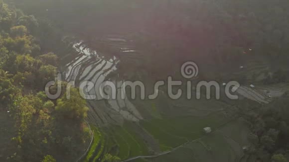 日落时在山上拍摄的奇妙的稻田视频的预览图