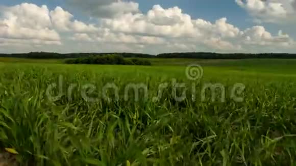 农业领域时间推移农业领域50视频的预览图