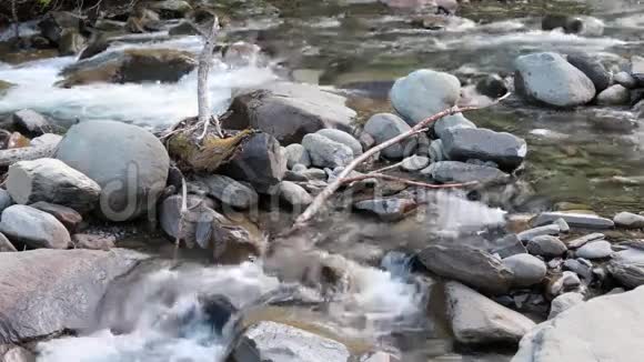 河里的树枝视频的预览图