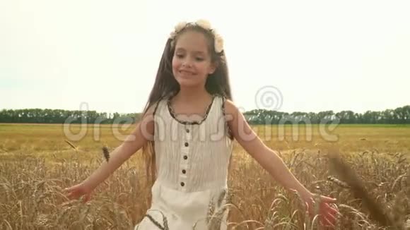那个留着深色长发的女孩那个女孩双手捂住麦穗这个可爱的女孩走在俄罗斯的田野上女孩视频的预览图
