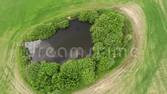 田里的小湖湖泊航空摄影43视频的预览图