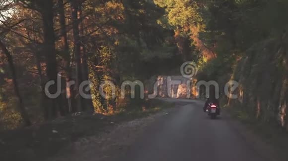 从后面的人骑摩托车在森林道路上库存黑色皮夹克摩托车手的美丽景色视频的预览图