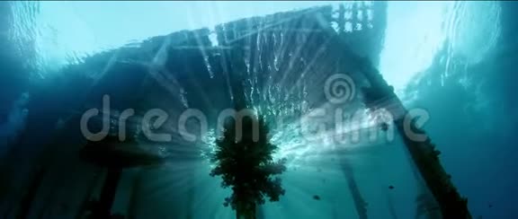 水下拍摄了一个古老的码头长满了柔软的珊瑚轮廓与阳光视频的预览图