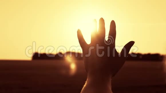 一位年轻女子的手在夕阳下的夏夜抚摸着阳光视频的预览图