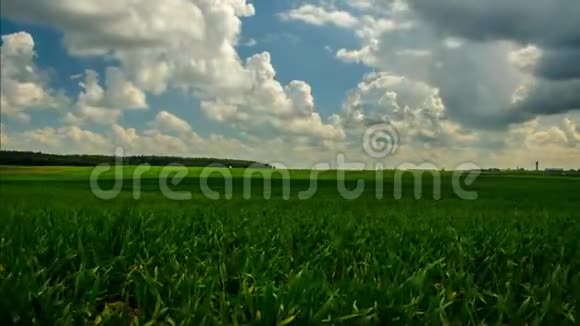 农业领域时间推移农业领域39视频的预览图