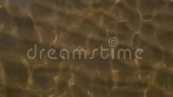 背景来自细沙沙子背景视频的预览图