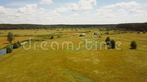 无人机在夏季草地和河流上空低空飞行空中拍摄平静的乡村山谷景观阳光明媚的田野4K视频的预览图