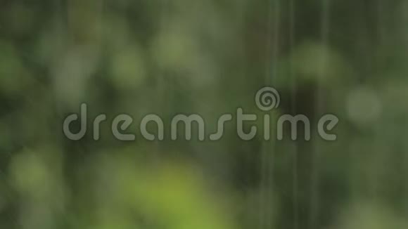 雨水倾泻在绿色自然背景上视频的预览图