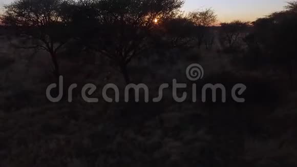 无人机在热带草原上空升起视频的预览图