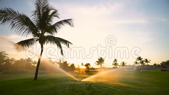 金色日落时球道高尔夫球场洒水器视频的预览图