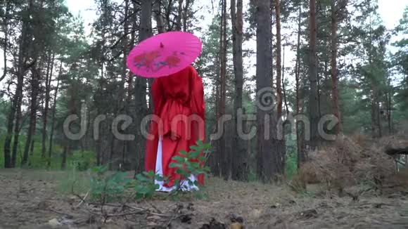 一个穿着红色和服的女孩在伞下走着针叶林转过身用扇子遮住她的脸慢慢地视频的预览图