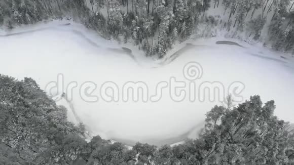 在一片冰雪覆盖的冬季松林中的河流无人驾驶的鸟瞰视频的预览图