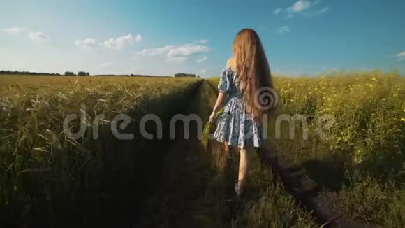 一个穿着连衣裙的女人在通往田野的路上奔跑视频的预览图