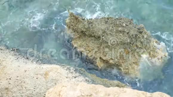 海水或海洋海滩上有石化的珊瑚石和岩石视频的预览图